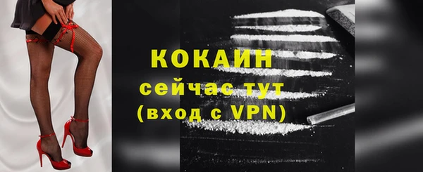 шишки Волоколамск