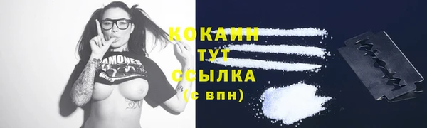 шишки Волоколамск