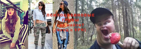 а пвп мука Володарск