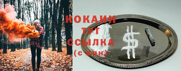 шишки Волоколамск