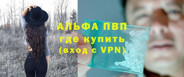 шишки Волоколамск