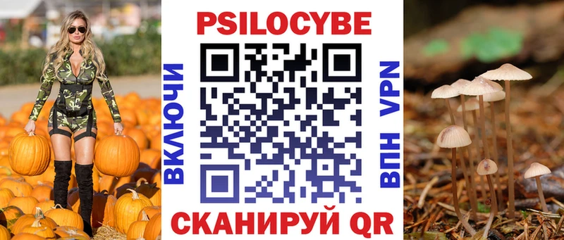 Галлюциногенные грибы GOLDEN TEACHER Нововоронеж